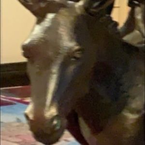 Meet your Posher, Joe